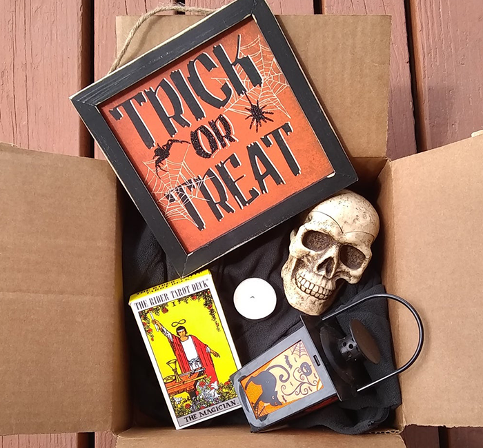 Halloween Subscription Box: Spooky Surprises Every Month!