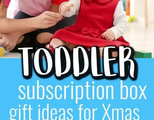  toddler subscription box