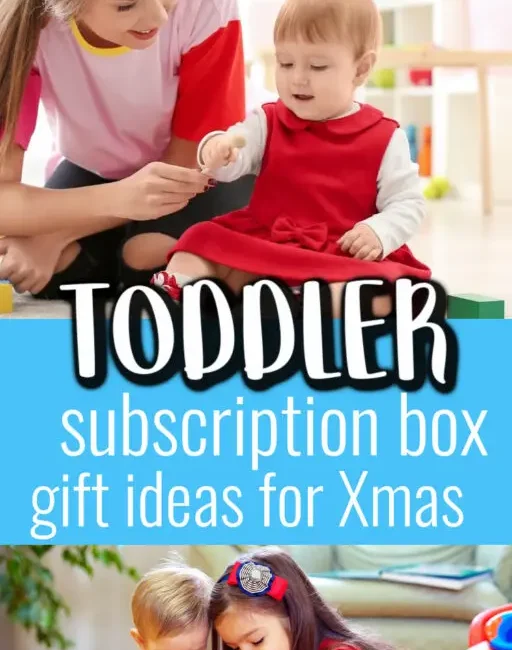 Fun & Learning: Toddler Subscription Box!