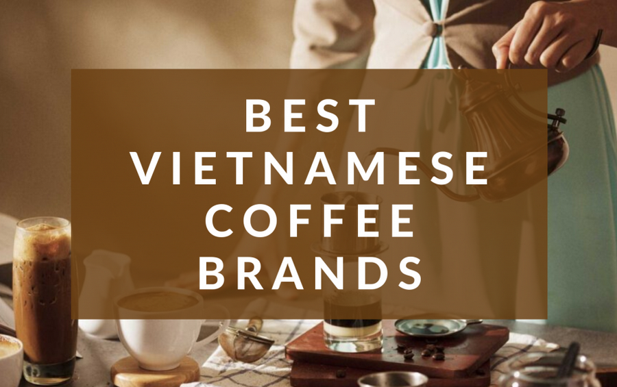Explore Top Vietnamese Coffee Brands for an Authentic Brew